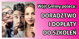 banner doradztwo i szkolenia