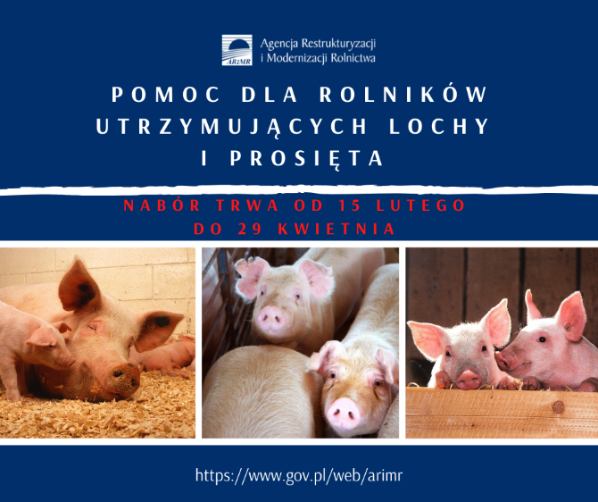 plakat pomoc dla hodowców loch i prosiąt